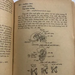 Từ điển bệnh học, Trần Phương Hạnh 709194