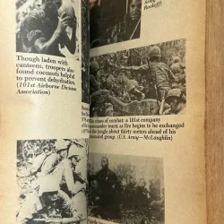 Where the Orange Blooms - Thomas Taylor 785145