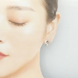 PT900/K14WG Bông tai kim cương 0.50CT - Hàng hiệu Chính hãng 871432