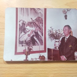 Ảnh người xưa và tranh Mãnh hổ hạ sơn 74497