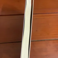 Mưa nguồn Bùi Giáng 927404