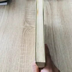 NUÔI DẠY TRẺ LÀM SAO ĐỂ KHÔNG PHÁT ĐIẾN 1004033