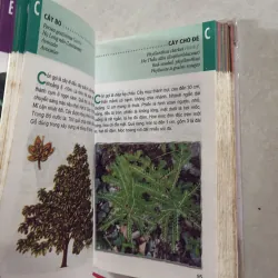 Từ điển tranh về các loài cây - Lê Quang Long  751505