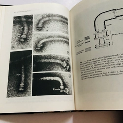 INTRODUCTORY BIOPHYSICS  - bìa cứng, 214 trang  552553