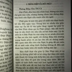 Vì sao tin Phật  734554