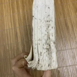 Bạch Lộc nguyên 2 tập - Trần Trung Thực 454790