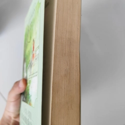 Yêu em từ cái nhìn đầu tiên - Tiểu thuyết  552070