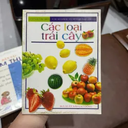 “Các loại trái cây” - K3 1005857