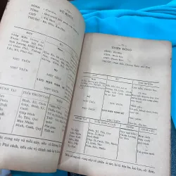 TỬ VI ĐẨU SỐ THỰC HÀNH - TÚY LANG NGUYỄN VĂN TOÀN 996509