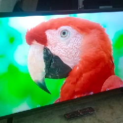 [[Tivi Siêu Mỏng 39" LG -  Full HD & Đầy đủ Phụ Kiện] Thanh lý 18624