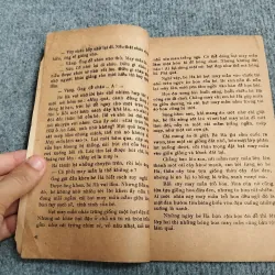 HẠT MAY MẮN - TRIỆU BÔN 689515