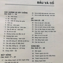 1. ATLAS GIẢI PHẪU NGƯỜI 470948