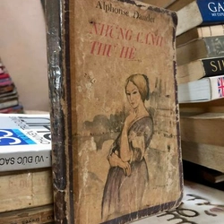 Lô sách nhà văn Pháp Alphonse Daudet: Những cánh thư hè và Thằng nhóc 306745