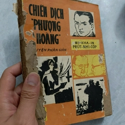 Chiến dịch Phượng hoàng