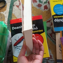 Quản Lý For Dummies 530904