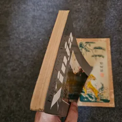 Xinja ( hay số phận mỏng manh) - Frans Eemil Sillanpaa 736233