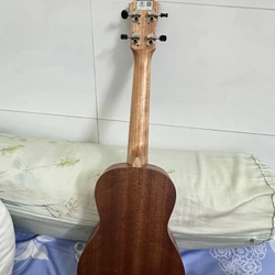 Đàn Ukulele Gỗ chính hãng size concert basic 494139