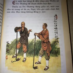 Sức Sống Thiền Môn 970649