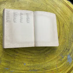 ROGET’S THESAURUS 6 SIXTH EDITION- EDITED BY BARBARA ANN KIPFER, Ph.D. 603308