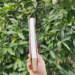 Năng Đoạn Kim Cương 706363