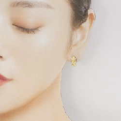 K18YG Bông tai kim cương 0.09CT một bên - Hàng hiệu Chính hãng 877685