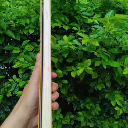 Món ngon và gia vị cảm xúc tùy bút của Tràn Tiến Dũng  990546