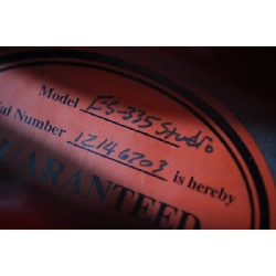 ＧＩＢＳＯＮ ＥＳ－３３５ＳＴＵＤＩＯ - Hàng hiệu Authentic 878074