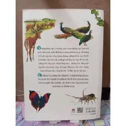 Thiên nhiên - Những bí mật còn ẩn giấu - động vật xinh đẹp - Trác Việt (chủ biên), Bùi Hương (dịch) KHOA HỌC ĐỜI SỐNG RUBO0810 577944