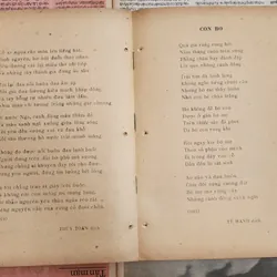 Tiểu thuyết của PIERRE REY - BÃI BIỂN CÂY CỌ (517 trang) 727197