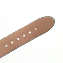 Bulgari Luchea Skeleton Blue JAPAN LIMITED LU33S/103435 SS Tự động - Hàng hiệu Chính hãng 871529