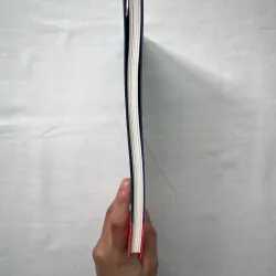 The Essential Van Gogh - Hans den Hartog Jager 1028889