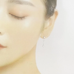 PT900 Bông tai kim cương 0.80CT - Hàng hiệu Chính hãng 870464