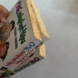 Chie cô bé hạt tiêu lẻ (Co) 694108