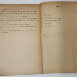 Truyện ngắn CUỐN SỔ MÀU XANH (Henri Troyat) 791304