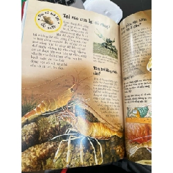 Khám phá thế giới đông vật 782770