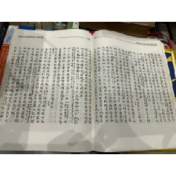 Việt Sử cương mục thiết yếu - Đặng Xuân Bảng 629008