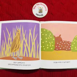 Set 1 신나는 과학 그림책 바나나 로켓 927080