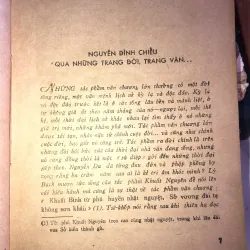 Nguyễn Đình Chiểu trong cuộc đời 998052