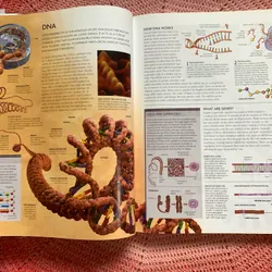 The Human Body Book: An Illustrated Guide to Its Structure, Function and Disorders. 646342