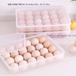 🥚🥚 Khay đựng trứng 1 tầng 24 quả🥚🥚 
 25713