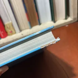 [Sách Bìa Cứng, Khổ Lớn, In Màu] - II Đà Nẵng _ 20 Năm Xây Dựng Và Phát Triển - 2017 798046