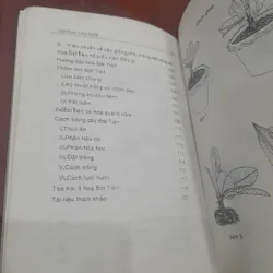 Huỳnh Văn Thới - XƯƠNG RỒNG BÁT TIÊN, kỹ thuật trồng, phương pháp lai tạo 737665