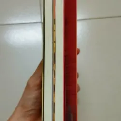 Combo 2 cuốn 365 Ngày Hoàng Đạo Sư Tử & Song Tử 694723