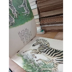 How they live - Y. Charushin 797808