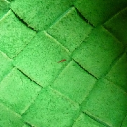 Bottega Veneta 680254 V1G11 Túi đeo chéo - Hàng hiệu Chính hãng 805431