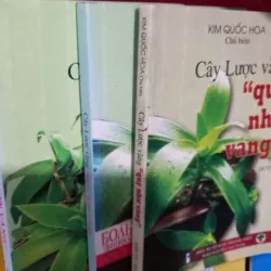 cây lược vàng - quý như vàng - 1.2.3