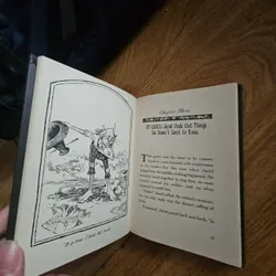 The Spiderwick Chronicles Diterlizzi and Black book 5 Giá 20k  602628