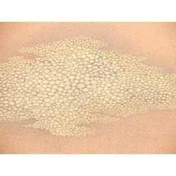 反物 - Hàng hiệu Authentic 878958