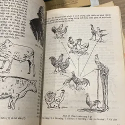 SINH HỌC 12 (XB 2002) 994050