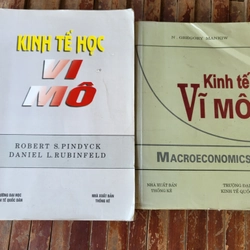 Kinh tế vi mô & Kinh tế vĩ mô (khổ lớn, bìa mềm)